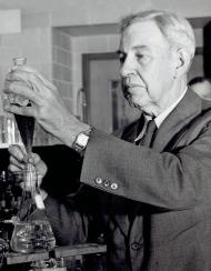 Vladimir Nikolayeviç Ipatieff